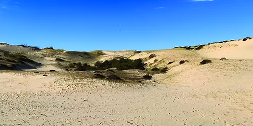 WELLTOWN COMMUNITY HIKE: Shifting Sands - Art & Nature in the Provincetown Dunes