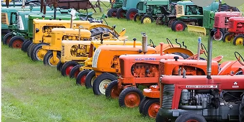 Shelagh Vintage Run