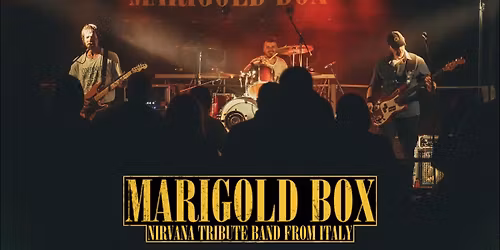 Nirvana Tribute Band - Marigold Box