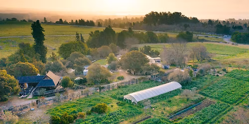 Free Guided Tour of the UCSC Farm