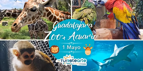 Zoologico Guadalajara 