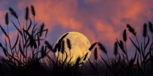 FULL MOON\/Lunar Eclipse at Nest Studio