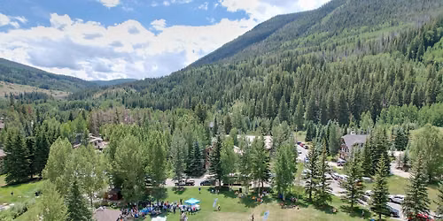 Community Picnic