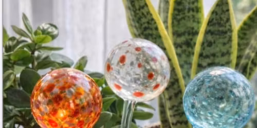 05\/23\/2026 10 am Glass Blown Bulbs