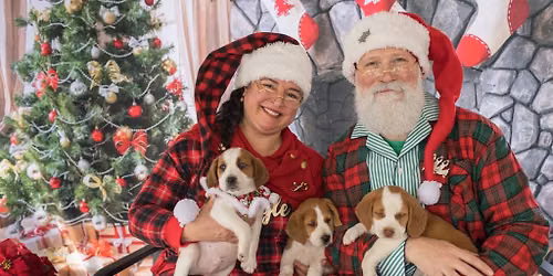 Pictures with Santa Paws at Fortnight Brewing Co. in Cary