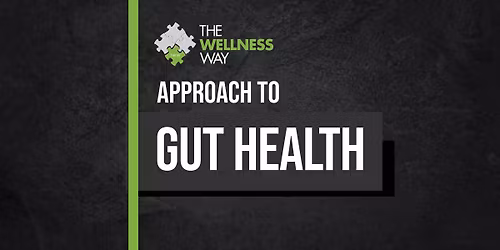 Wellness Way's Approach to Gut Health