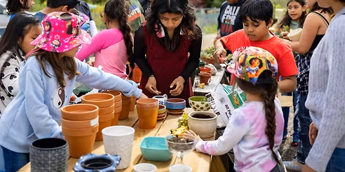 Succulent Arrangements in EarthLab