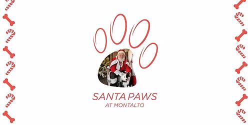 Santa Paws