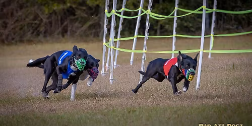 GIT NOTRA, NOTRA-OB, AOK9