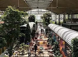 Ap\u00e9ro-preneuriat #22