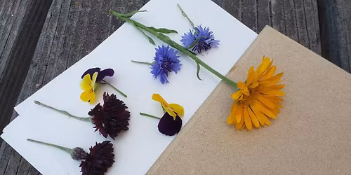 Wellness Workshop: An Afternoon of Therapeutic Horticulture