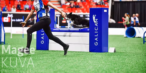 Tara LaBelle Seminar