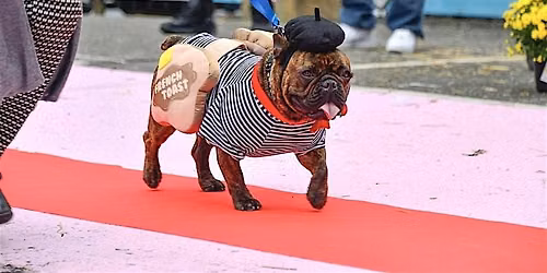 Howl-ween! Dog Costume Contest
