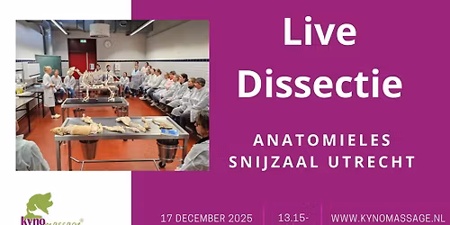 1-daags Practicum Anatomie Snijzaal Utrecht: Live Dissectie Hond