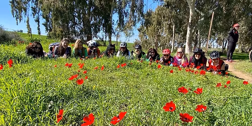 \u05e1\u05d5\u05e4\u05f4\u05e9 \u05d3\u05e8\u05d5\u05dd \ud83d\udeb5\u200d\u2640\ufe0f\u05d0\u05d3\u05d5\u05dd \ud83c\udf3a