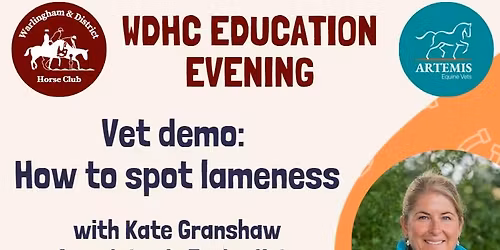 WDHC - Vet Demo: How to spot a lameness