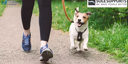 Webinar: Foot Posture and Biomechanics in Chiropractic Care: Orthotic Solutions for Active Lifestyle