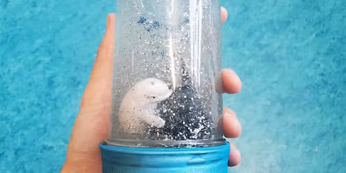 CoLab-orations: Mason Jar Snow Globes