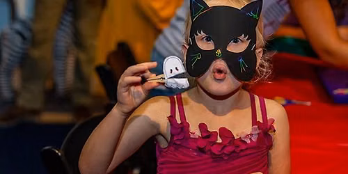 Sensory Sunday: Black Cats & Bats