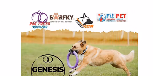 GENESIS DOG PULLER