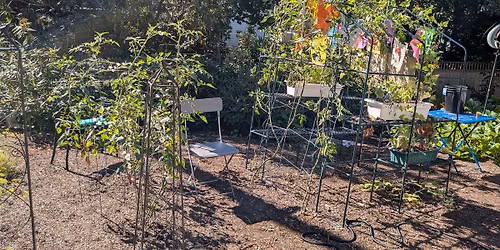 70th First Parish Plant & Craft Fair