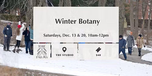 Winter Botany