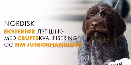 NKK SANDEFJORD NOVEMBER 2025