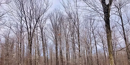 Histoire d'EAU et d'\u00e9rable au temps des changements globaux