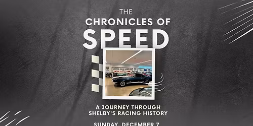 Exclusive Shelby Collection Tour \u2014 Private Access Experience