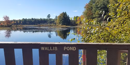 Wallis Pond Foliage Hike