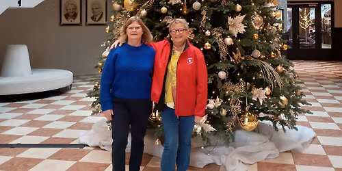 JULEDANS I HUNDESTED - Linedance