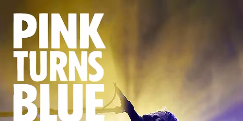 Pink Turns Blue at El Corazon
