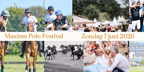 Maxima Polo Festival