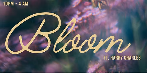 Il Brutto - Bloom | ft Harry Charles