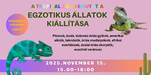 Egezotikus \u00e1llatok ki\u00e1ll\u00edt\u00e1sa
