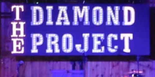The Diamond Project Band