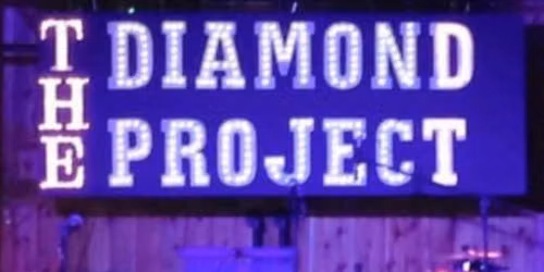 The Diamond Project Band