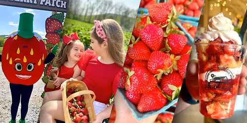 2026 Strawberry Festival!