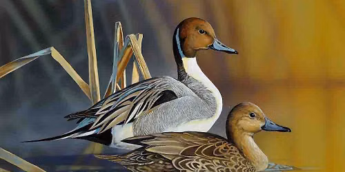 The 40th Annual C. Fair Brooks III Dinner For Wetland Conservation - Western Henrico DU