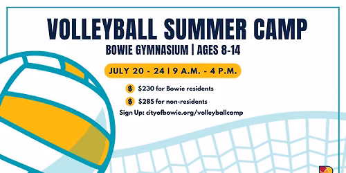 Volleyball Summer Camp