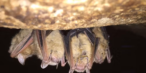 Leave No Trace for Williamson County Preserves