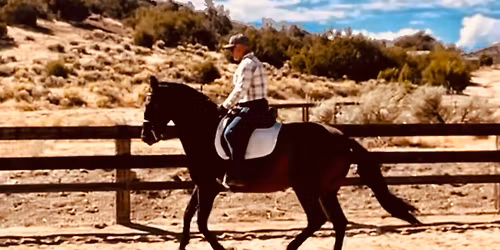 Improving Lateral Work for Better Canter Departs - Part 2