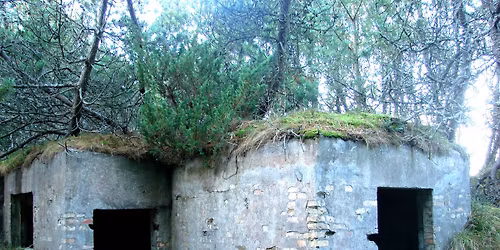 Pansergravene og forsvarsstillinger  ved Bulbjerg