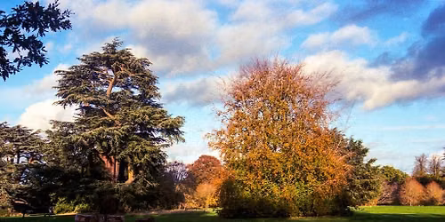 New Year Day Walk - Nowton Park to Hardwick Heath