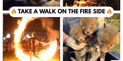 Take a Walk on The Fire Side