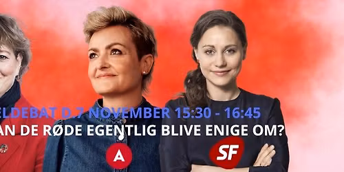 Hvad kan de r\u00f8de egentlig blive enige om?