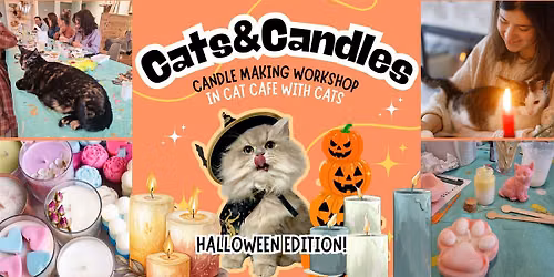 Cats&Candles: candle making workshop in cat cafe with cats - Halloween