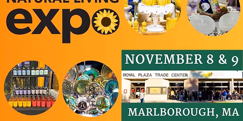 Pleiadean Cosmic Healing Discs at Natural Living Expo