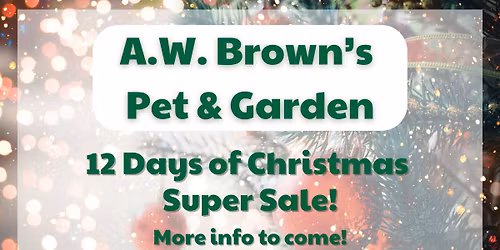 12 Days of Christmas Super Sale!