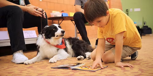 Reading to Rover